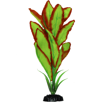 Petland Canada Fish Gear Amazon Sword Silk Aquarium Plant