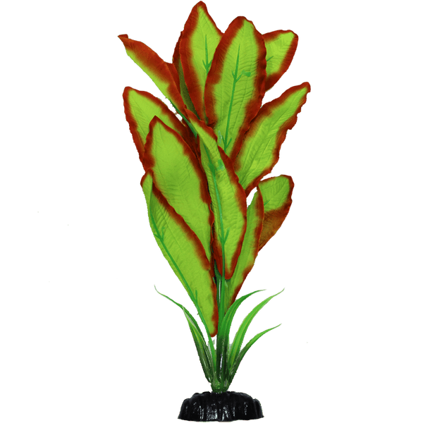Fish Gear Amazon Sword Silk Aquarium Plant (12") Petland Canada