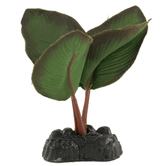 Petland Canada Fish Gear Anubias Silk Betta Plant