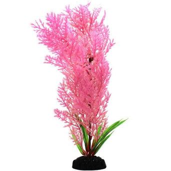 Petland Canada Fish Gear Pink Wisteria Aquarium Plant