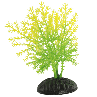 Petland Canada Fish Gear Yellow & Green Hygrophila Plastic Betta Plant (4")
