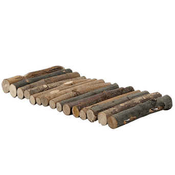 Petland Canada Moss Hollow Tree Twigs Lounging Logs