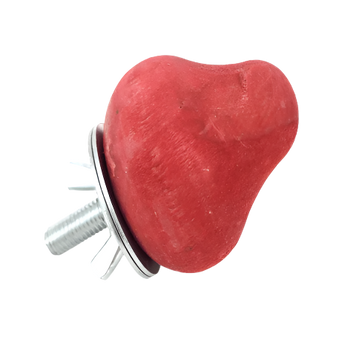 Petland Canada Moss Hollow Wooden Strawberry Gnaw