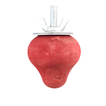 Petland Canada Moss Hollow Wooden Strawberry Gnaw