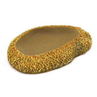 Petland Canada Repti Gear Rock Reptile Dish
