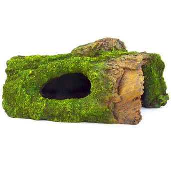 Petland Canada Repti Gear Trunk with Moss Cave for Reptiles