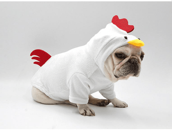 Petland Canada Rooster Dog Costume