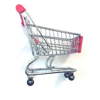 Petland Canada Tweeters Shopping Cart Bird Toy