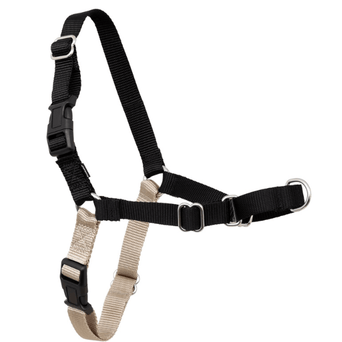 PetSafe PetSafe Easy Walk Harness with Lead