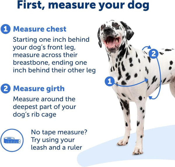How to Use Easy Walk Dog Harness: Step-by-Step Guide