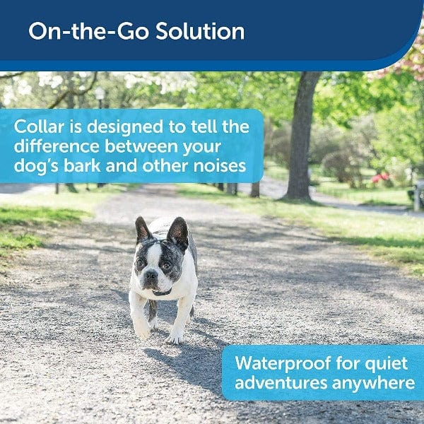 PetSafe Lite Rechargeable Bark Collar Petland Canada