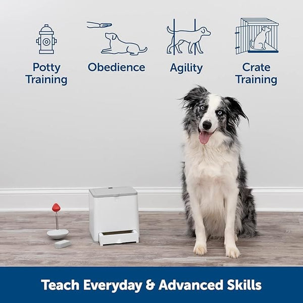PetSafe Teach & Treat Remote Reward Trainer – Petland Canada PetSafe Teach & Treat Remote Reward Trainer – Petland Canada