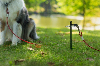 Prevue Pet Products Prevue Pet Products Dog Tie Out Cable; Medium Duty