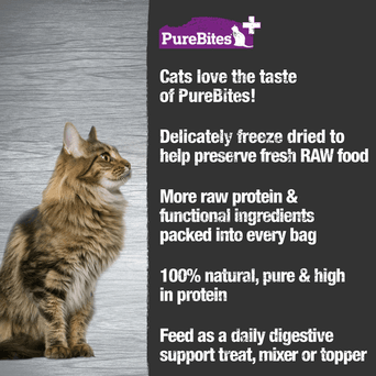 PureBites PureBites Digestion Freeze Dried Cat Treats, 31g