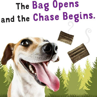 Purina Beggin' Venison Flavour Dog Treats