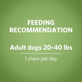 Purina DentaLife ActivFresh Dog Chews; Medium