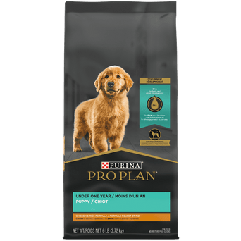 Purina Purina Pro Plan Chicken & Rice Formula Dry Puppy Food, 6lb