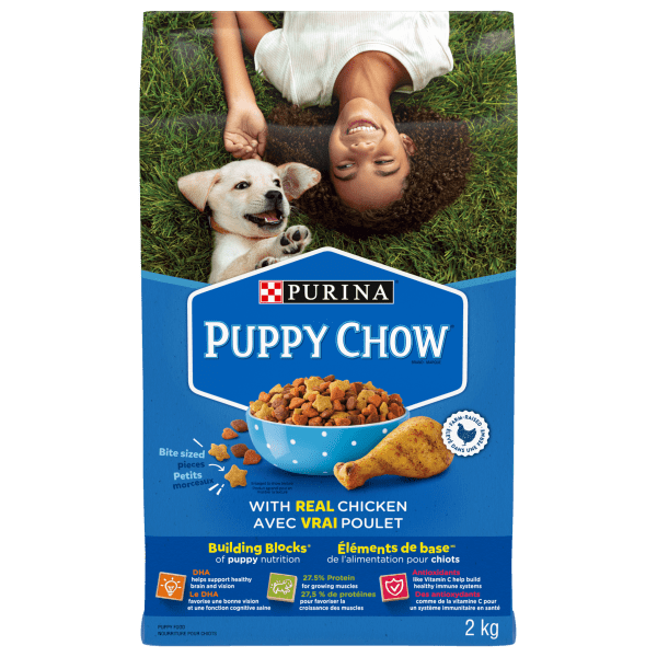 Purina Puppy Chow Dry Food Subscription