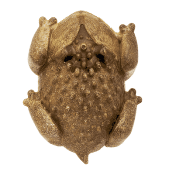 RedBarn Pet Products RedBarn Chew-A-Bulls Horned Toad Dog Treat; Single