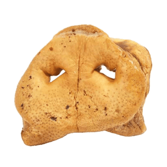 RedBarn Pet Products RedBarn Pig Snout Dog Chew
