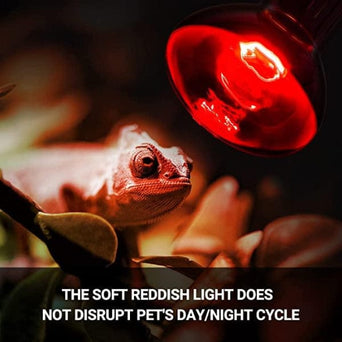 Reptizoo Reptizoo Combo Daylight & Nightlight Heat Lamps