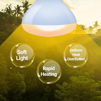 Reptizoo Reptizoo Combo Neodymium Daylight & Nightlight Heat Lamps