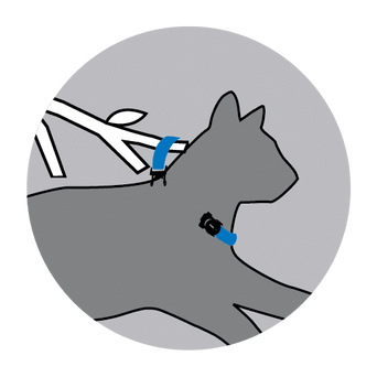 Rogz Rogz AlleyCat Harness & Lead Set