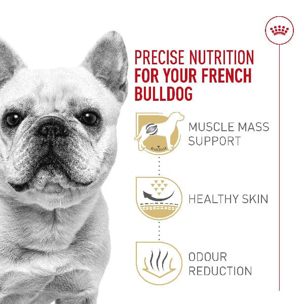 Royal Canin French Bulldog Adult Dry Dog Food, 17lb – Petland Canada