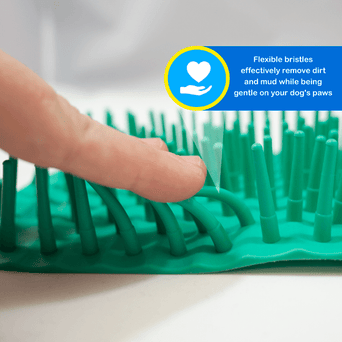 Royal Pet Inc. Companion Gear Paw Cleaner