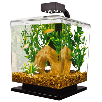 Spectrum Tetra LED Aquarium Kit - 1.5 Gallon Cube