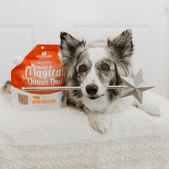 Stella & Chewy's Stella & Chewy's Marie’s Magical Dinner Dust Beef Recipe Meal Toppers for Dogs