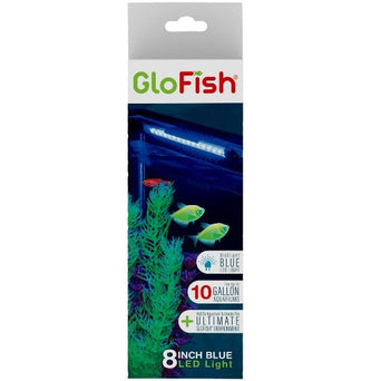 Tetra GloFish 8