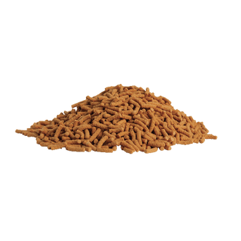 Tetra Tetra Pond Koi Vibrance Sticks