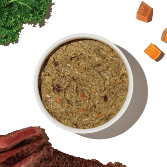 The Honest Kitchen The Honest Kitchen WholeMade | Grain Free Beef Recipe Dehydrated Dog Food, 10lb (SPECIAL ORDER ITEM)