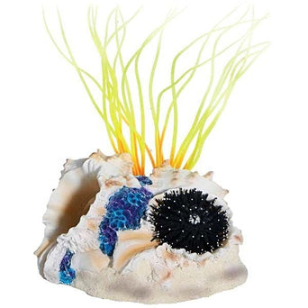 Top Shelf Pet Sea Flower Tahiti Shell Small Anemone Red