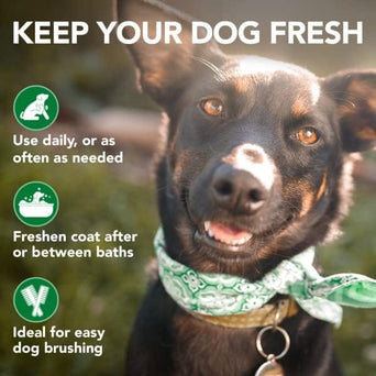 Vet's Best Vet's Best Moisture Mist Conditioner for Dogs