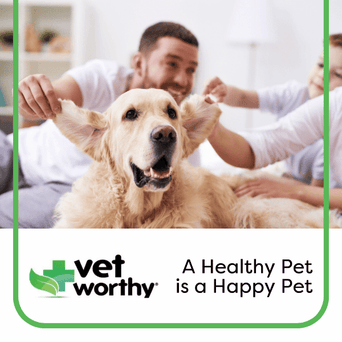 Vet Worthy Vet Worthy Ear Cleanse Pads for Dogs