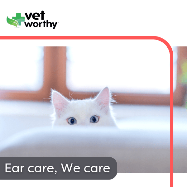 Vet Worthy Ear Flush for Cats Petland Canada