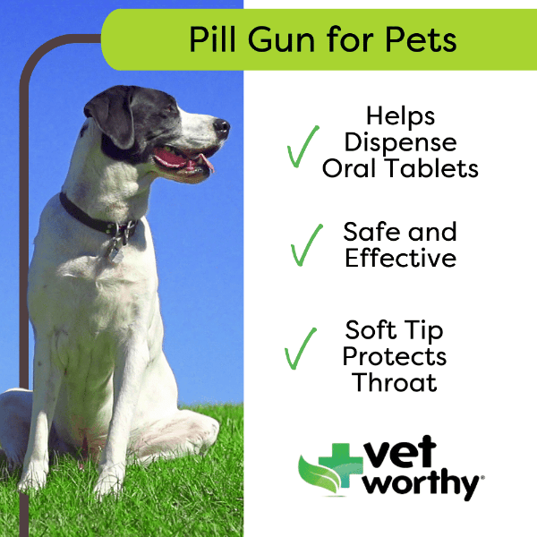 Pill gun deals dog