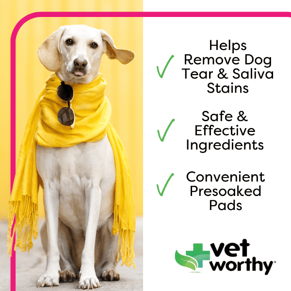 Vet pad hot sale