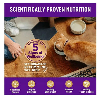 Wellness Wellness Complete Health Grain Free Indoor Healthy Weight Dry Cat Food