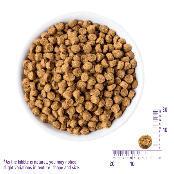 Core indoor top cat food