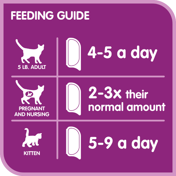 Whiskas Perfect Portions Beef Pâté Wet Cat Food Petland Canada