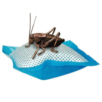 Zilla Zilla Cricket Water Pillows