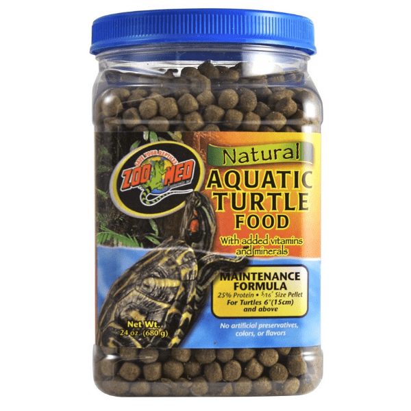 Turtle feeder 2024