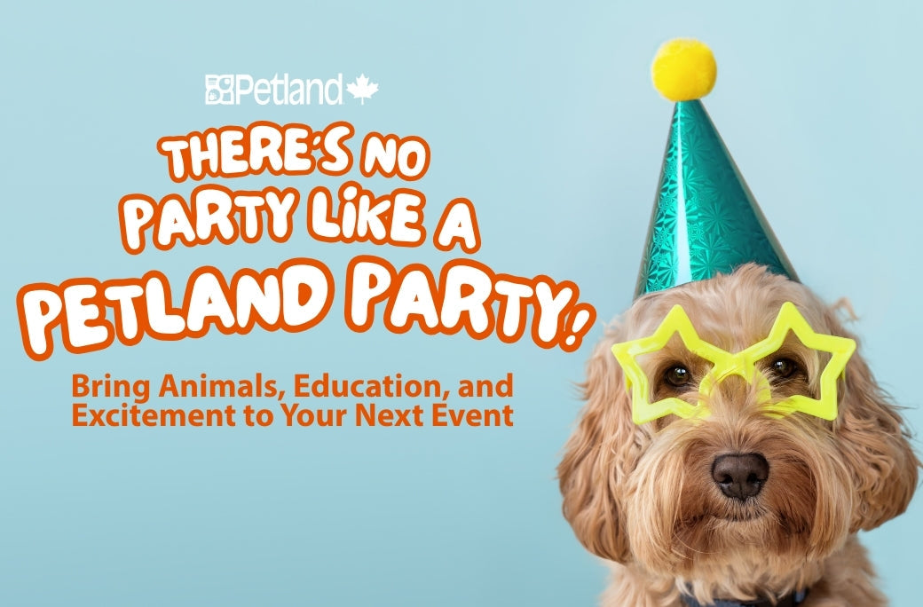 It’s Party Time at Petland Canada!