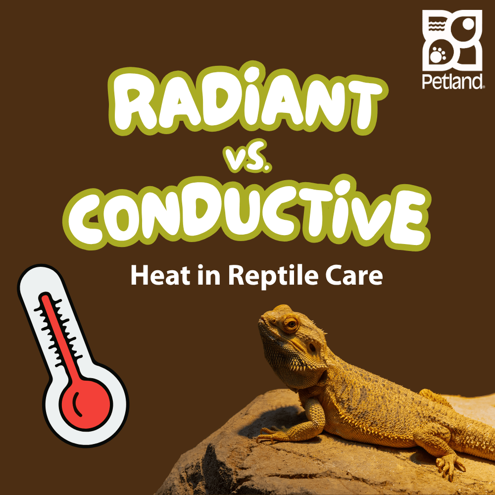 Radiant vs Conductive Heat