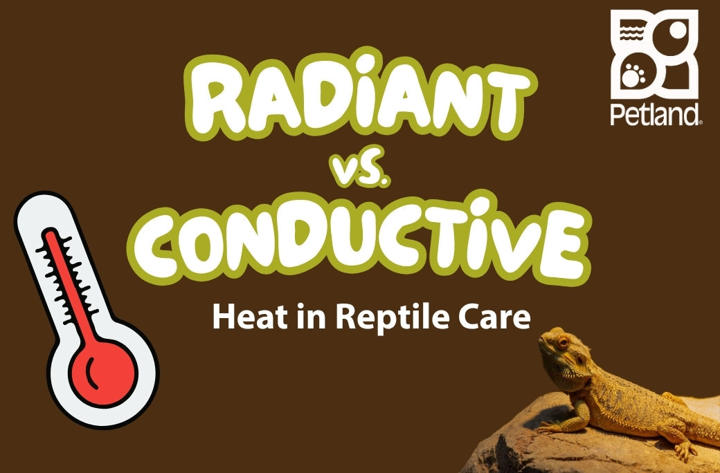 Radiant vs Conductive Heat