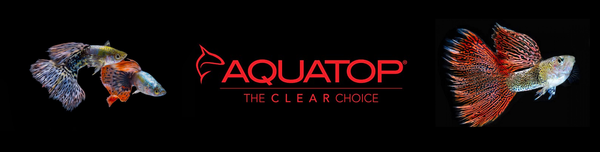 Aquatop