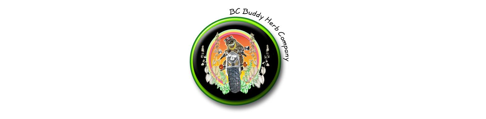 B.C. Buddy